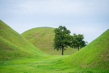  Güney Kore, Gyeongju 'daki ünlü Cheonmachong Parkı manzarası