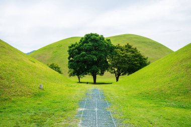  Güney Kore, Gyeongju 'daki ünlü Cheonmachong Parkı manzarası