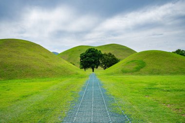  Güney Kore, Gyeongju 'daki ünlü Cheonmachong Parkı manzarası