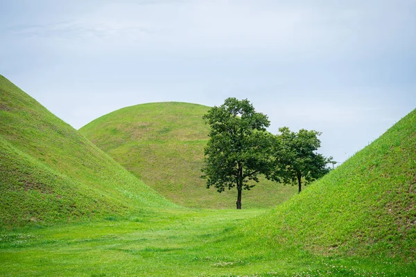  Güney Kore, Gyeongju 'daki ünlü Cheonmachong Parkı manzarası