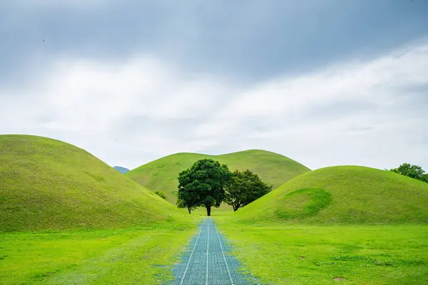  Güney Kore, Gyeongju 'daki ünlü Cheonmachong Parkı manzarası