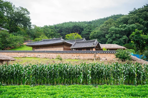  Güney Kore, Gyeongju 'daki geleneksel yangdong köyünün manzarası