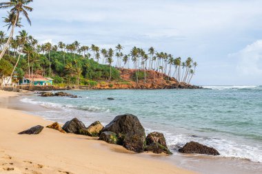 Mirissa plajının panoramik manzarası, Sri Lanka