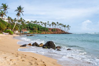 Mirissa plajının panoramik manzarası, Sri Lanka