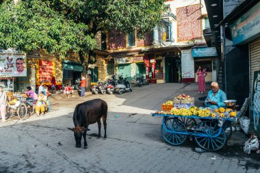 Rishikesh, Hindistan. 15 Eylül 2023: Rishikesh 'deki Ganges Nehri kıyısında Hindu yaşam tarzı.
