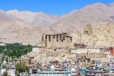 Hindistan 'daki Leh Ladakh Sarayı manzarası