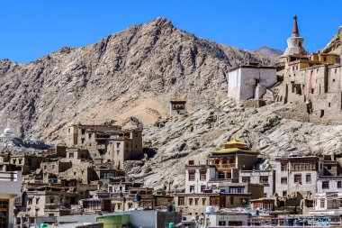 Leh Ladakh City, Hindistan 'daki Leh Sarayı manzarası