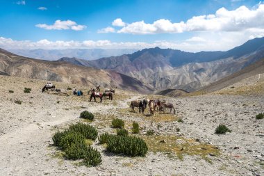 Leh Ladakh, Hindistan 'da Markha yürüyüşünün manzarası