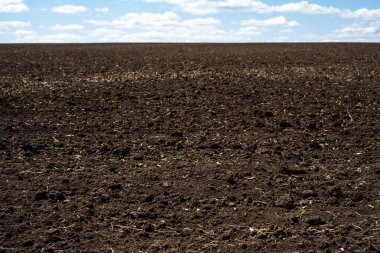 Mavi bulutlu gökyüzü ile pullu tarla - verimli kırsal arazi manzarası