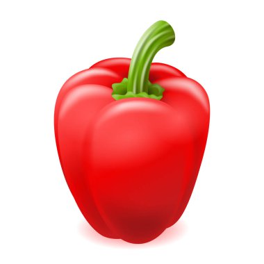 Capsicum paprika biberi ya da dolmalık biber illüstrasyonları 3 boyutlu olarak