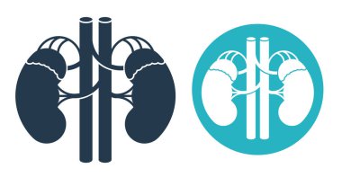 Adrenal bezler ve böbrekler düz simge - sağlık hizmetleri için besin takviye rozeti