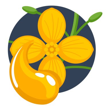 Gıda veya biyoyakıt etiketleme için izole edilmiş kolza yağı veya kanola yağı. Damlalı Brassica çiçeği