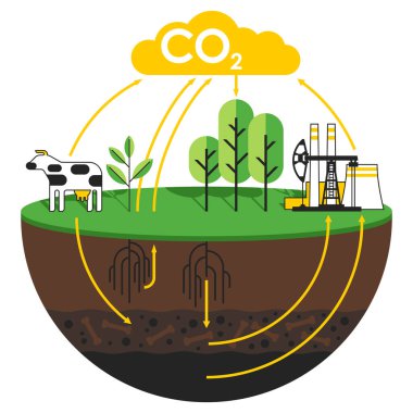 Karbondioksit döngüsü diyagramı. Hayvanlar, bitkiler, toprak ve enerji endüstrisi. Bilimsel makaleler için izole edilmiş görsel yardım