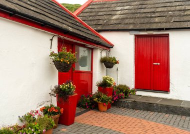 İrlanda köyünün kırmızı boyalı kapısı. Kırsal atmosfer. Güzel çiçek açan çiçekler.