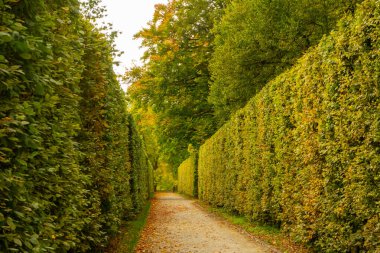 Parkta çit çizgili bir patika var. Çek Cumhuriyeti Cesky Krumlov 'daki Kale Parkı