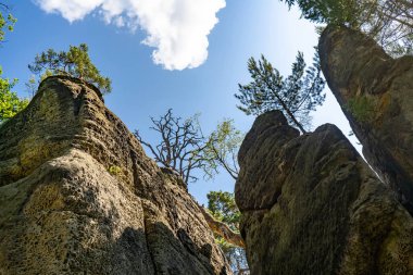 Çek Cumhuriyeti 'nin Kokorinsko ormanındaki kireçtaşı kayası