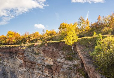 Ağaçlarla kaplı bir uçurum, tüylü beyaz bulutlarla dolu berrak mavi bir gökyüzünün zeminine kurulmuş çarpıcı doğal bir manzara.