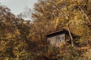 Sonbahar ormanındaki küçük ahşap kulübe. Avcılar için belki.