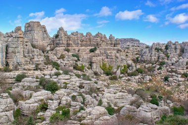  Doğa rezervi El Torcal de Antequera, Malaga, İspanya