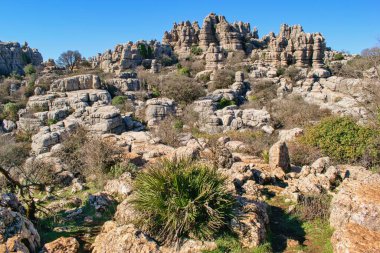  Doğa rezervi El Torcal de Antequera, Malaga, İspanya