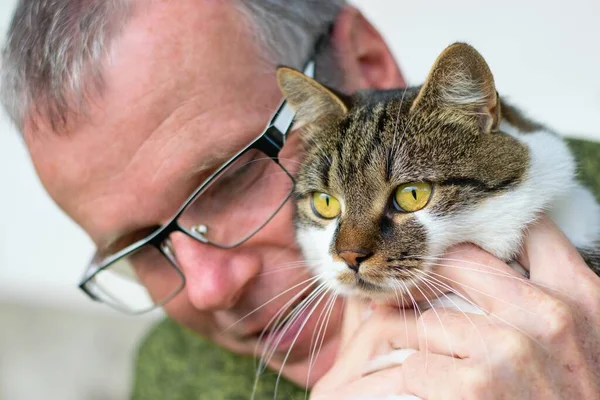 Reifer Mann Zärtlich Streichelt Liebenswerte Katze Felinotherapie — Stockfoto