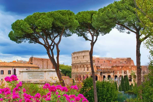 Colosseum Roma Italië Vanaf Palatine Hill — Stockfoto