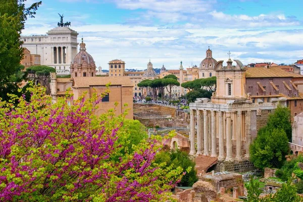 Roman Forum Roma Italië Historisch Oud Centrum Van Roma Hoofdstad — Stockfoto