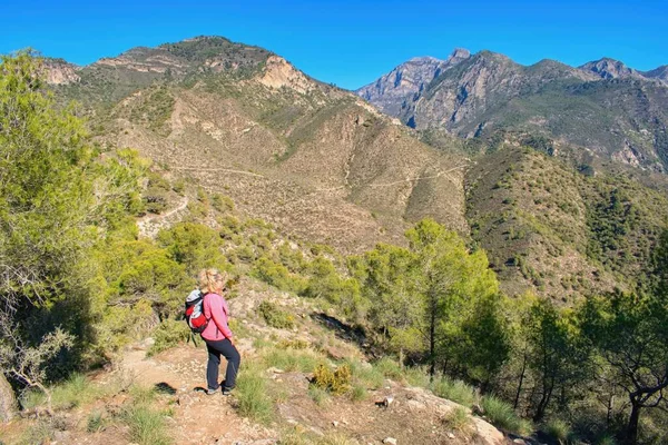Kvinna Vandrare Tittar Vackra Landskap Andalusiska Bergen Andalusien Spanien Stockbild
