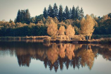 Ağaçlar, göl ve su yansıması olan sonbahar manzarası. Klasik stil.