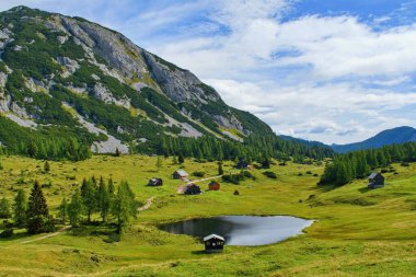 Avusturya 'nın Tauplitzalm bölgesinde orman ve dağ gölü olan bir dağ otlağı.