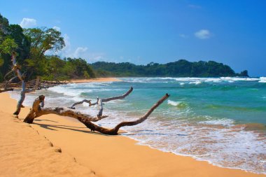 Büyücü Sahili, Bastimentos Adası, Bocas del Toro, Panama