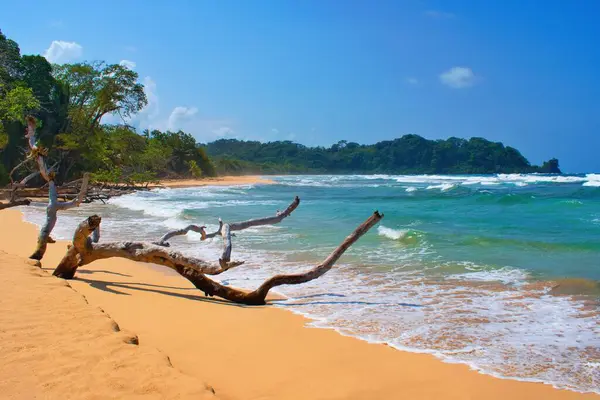 Мбаппе Вид Пляж Волшебник Остров Химентос Бокас Дель Торо Панама Стоковое Фото
