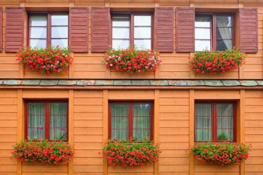 Pencereleri sardunya çiçekleriyle süslenmiş ahşap ev.
