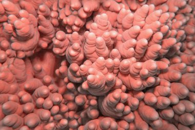 Organic texture of the hard coral Abstract background in trendy coral color .