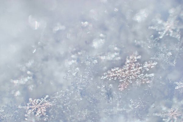 Beautiful winter background with crystalic snowflake