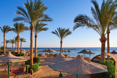 Idylic beach with palms and sun umbrelas, Red Sea, Egypt