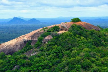 Pidurangala Kayası, Sri Lanka - 20.11.2024: Pidurangala Kayası 'nın tepesindeki insanlar  
