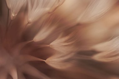 Moda renginde mavi soyut karahindiba çiçeği - 2025 'in Mocha Mousse rengi