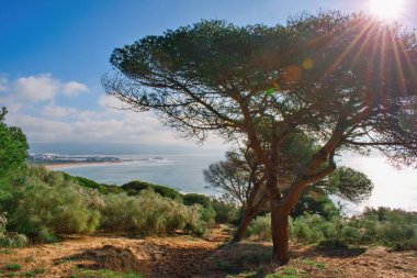 Costa de la Luz bölgesinde yürüyüş parkuru, İspanya, Endülüs. La Brena y Marismas del Barbate Doğal Parkı