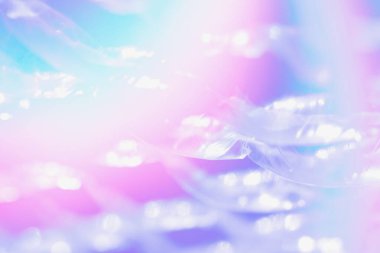 Çok renkli menekşe mavisi gradyan soyut arkaplan - hologram