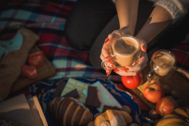 Doğada sonbahar pikniği, kruvasan, pizza, çikolata, meyve kompozisyonu, yiyecek ve içecek kavramı