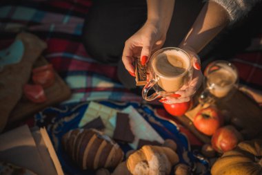 Doğada sonbahar pikniği, kruvasan, pizza, çikolata, meyve kompozisyonu, yiyecek ve içecek kavramı