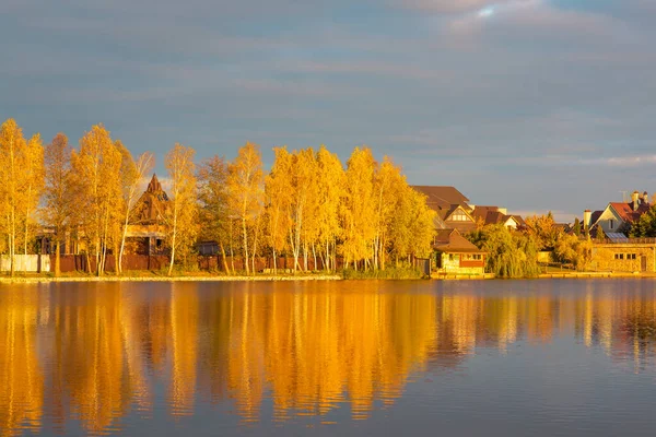 stock image Golden landscapes at countryside. Concept of nature, relax, nature and traveling