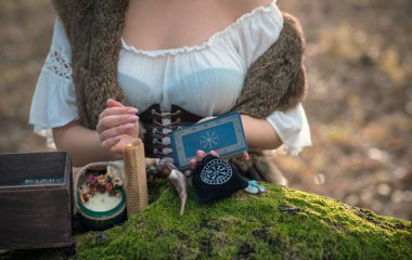 Eski İskandinav büyüsünün bir yansıması. Kuzey dünyası kavramı, cadı kavramı, ayin ve diğer büyüler. 