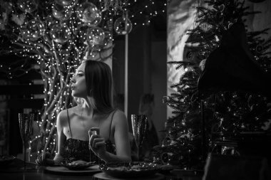 Yılbaşı partisinin resmi, evde yeni yıl. Tatillerde güzel bir Avrupalı ya da Amerikalı kadın. Çok rahat bir ev atmosferi var.