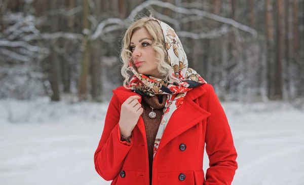 Κυρία Ηθικό Κασκόλ Και Κόκκινο Παλτό Χειμερινές Διακοπές Γυναίκα Υπαίθρια — Φωτογραφία Αρχείου