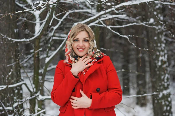 Dame Met Ethische Sjaal Rode Jas Winter Holidays Vrouw Buiten — Stockfoto