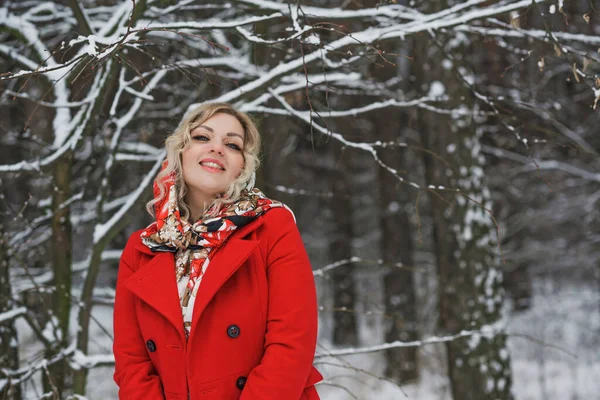 Леди Этическом Шарфе Красном Пальто Зимние Праздники Женщина Открытом Воздухе — стоковое фото