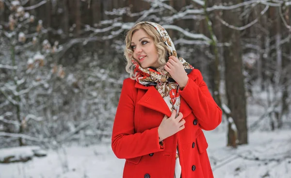 Dame Met Ethische Sjaal Rode Jas Winter Holidays Vrouw Buiten Rechtenvrije Stockafbeeldingen
