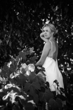 Kadınsı genç bayanın şefkatli çizimi. Beyaz ipek elbiseli romantik fotoğrafçı kadın. Kadınlar için prosedür